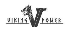 Viking logo